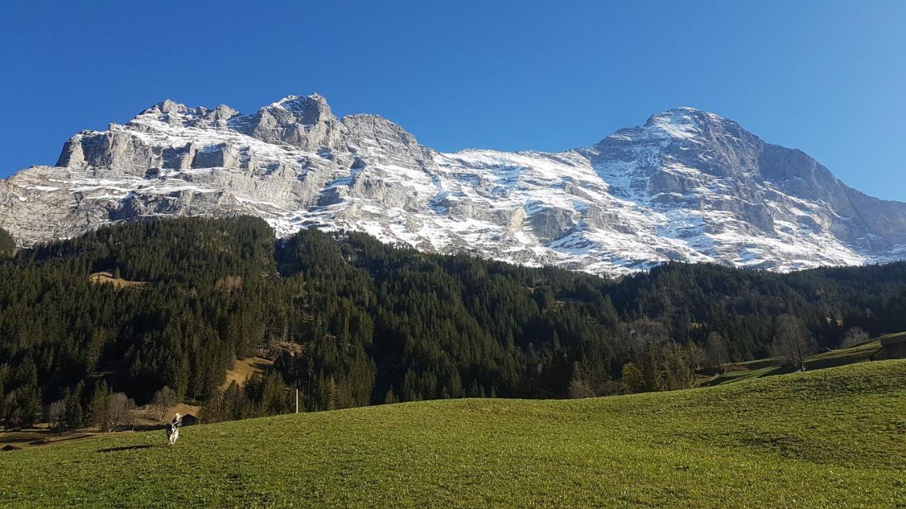 Chalet Bei Der Arve 格林德瓦 外观 照片
