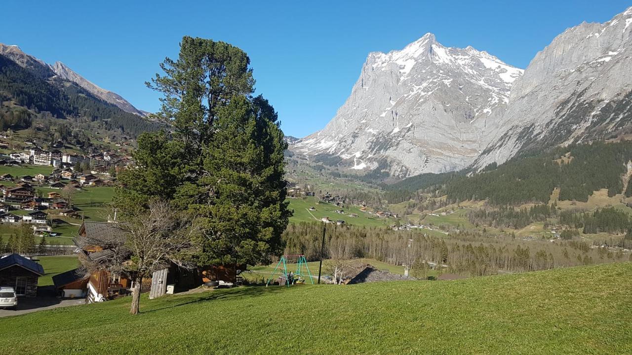 Chalet Bei Der Arve 格林德瓦 外观 照片