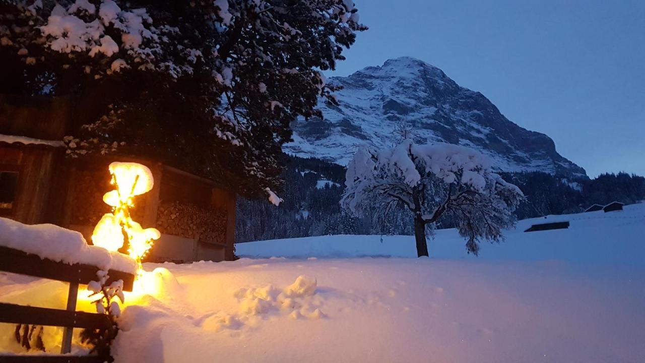 Chalet Bei Der Arve 格林德瓦 外观 照片